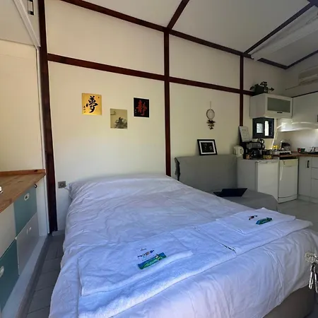 Athena Tiny House Holiday home